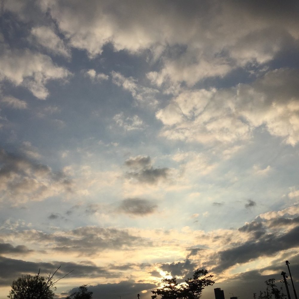 Meet your Posher, Minkyoung